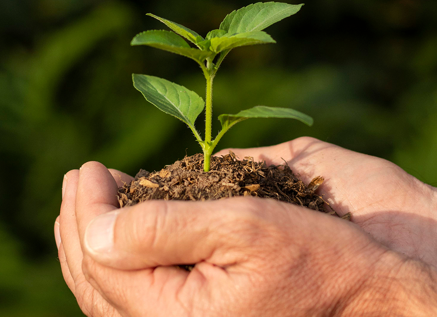 Sustainability