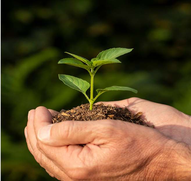 Sustainability