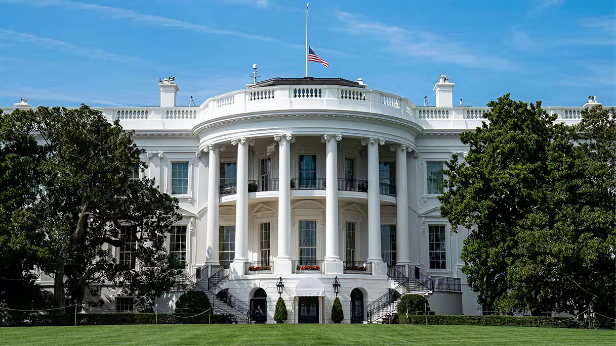 Government Sector and Public Security